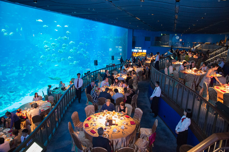 You are currently viewing Photographer sea aquarium dinner night