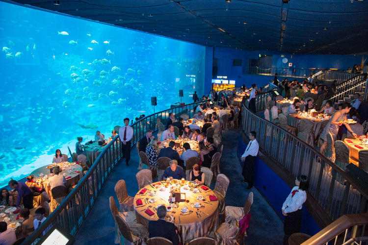 Read more about the article Photographer sea aquarium dinner night